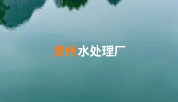 贵州污水处置惩罚 